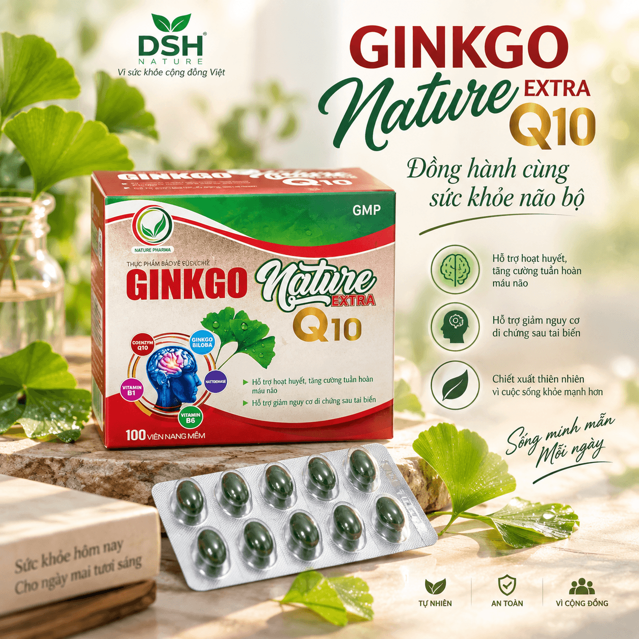 Ginkgo Nature Extra Q10
